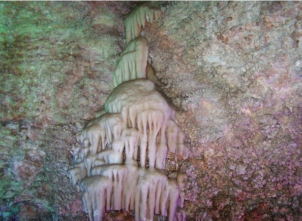 ����ɽѩ����